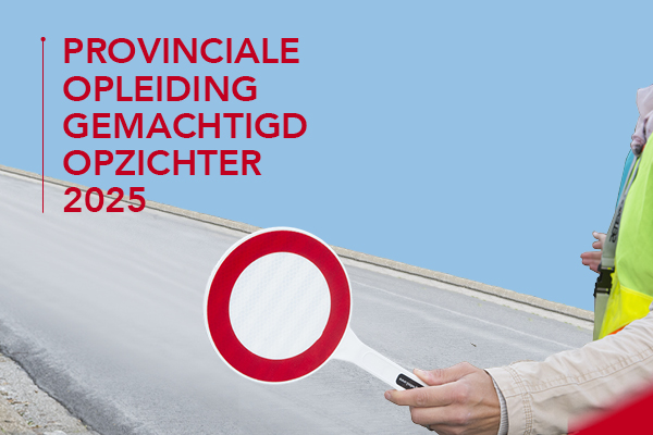 Gemachtigd opzichter